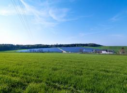 Peaty and organic soils